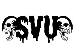 Image for Special Victims Unit