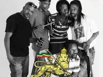 Skank and The Roots
