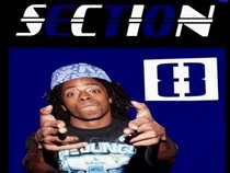 Section Eight