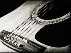 Image for Little Bird and the Strings
