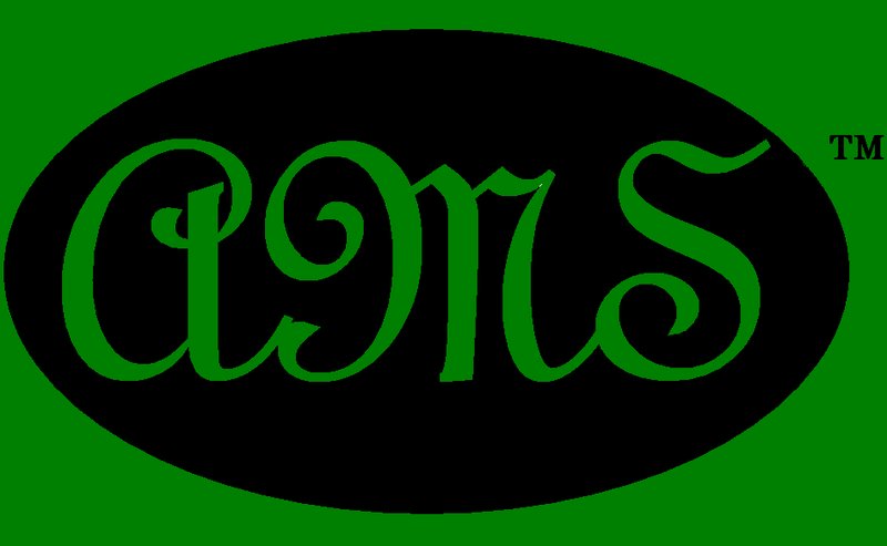 ReverbNation profile picture for @ams