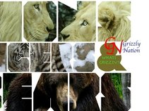 Grizzly Nation