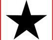 Black Star Alliance