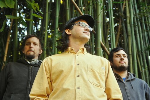 ReverbNation profile picture for @butterflies