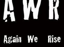Again We Rise