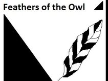 Feathers of the Owl