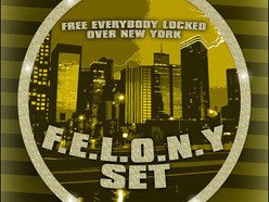 Felony Set