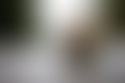 Ded6b11c c744 4acd 8a38 4370b793dbd5