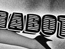 Zebrabottom