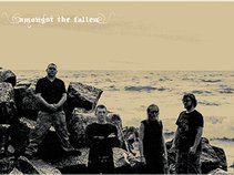 Amongst The Fallen