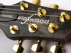 Image for Flaxwood Guitars