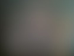 1346961367 the raposi brothers