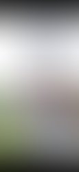 10459