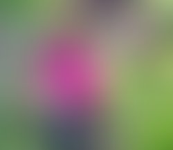 1347161058 front cover copy