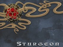 Sturgeon