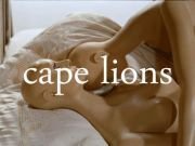 Image for Cape Lions