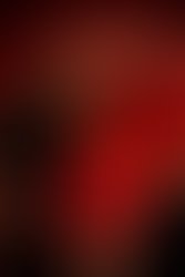 4499120550 6c49070010 b 1275530406