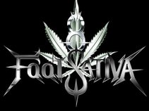 8 Foot Sativa