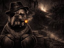 CODENAME : CATATONIC