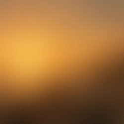 385397f7 51c5 48f2 87a2 535d90527e3f