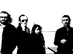 Image for VALOY--BROWN AND THE PI'S