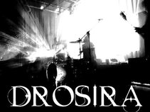 Drosira