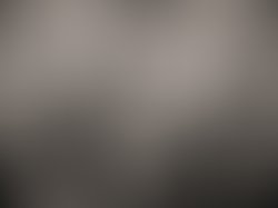 Swamp bats heaps 2018 62