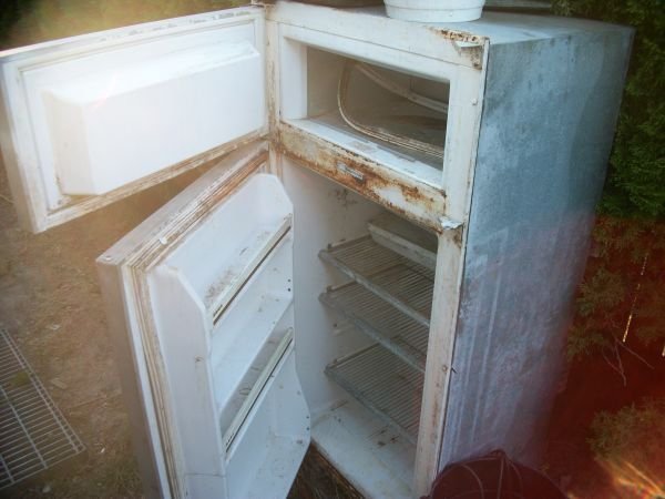 ReverbNation profile picture for @refrigerator