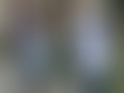1441057128 imagejpeg 0
