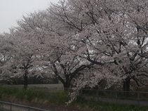 The Night of darkness