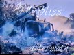 Axus Bliss
