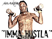 NO Gator