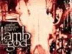 lamb of god