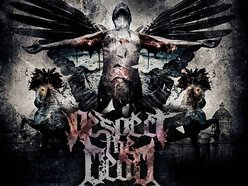 Image for RESPECT THE DEAD