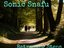 Sonic Snafu (Artist)