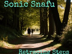 Image for Sonic Snafu