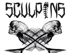 Image for Sculpins