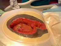 1351113921 141450739229449 6772383 n