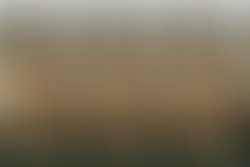 1331407474 3412671765398 1528167844 33040603 442771131 n