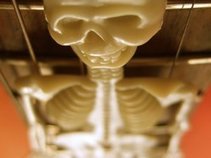 Skelington Bob