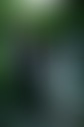 1312957364 134645476563734 100000548471018 268652 2903482 n 1 