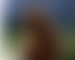 1443118501 mississippi grizz icon