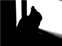 QKunst feat. Dr. Ted