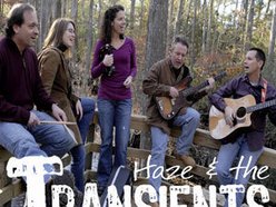 Image for Haze & The Transients