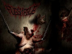 Image for FLESHPILE
