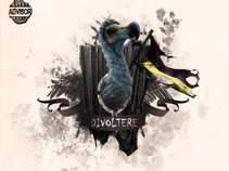 Divoltѐre