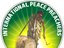 INTERNATIONAL  PEACE PREACHERS (Artist)