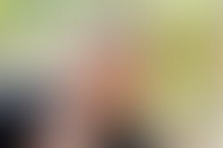 1397864932 532972873383567 328953919 n