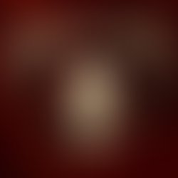 1399960001 shicon.1a hi 001