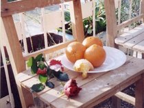 Friend of the Friend